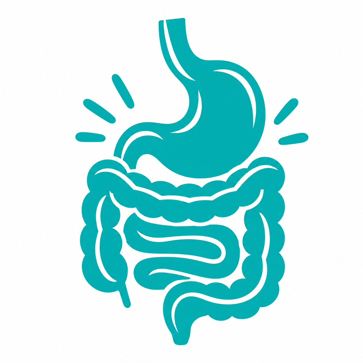 Gut Support