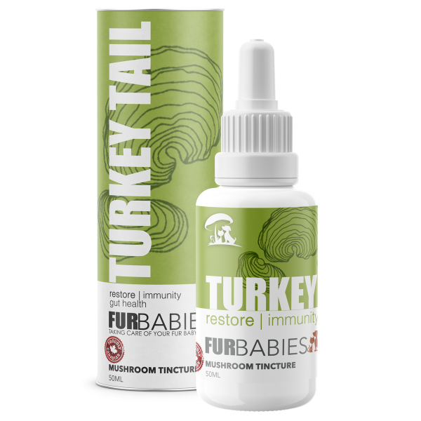 Furbabies Mushroom Tinctures