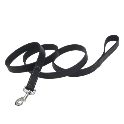 Coastal Leather Leash 6ft