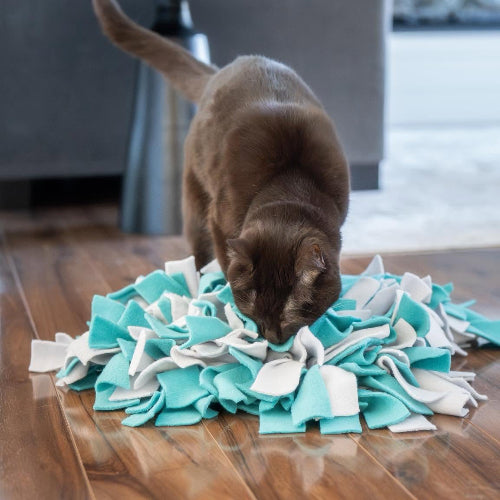 Snuffle Mat