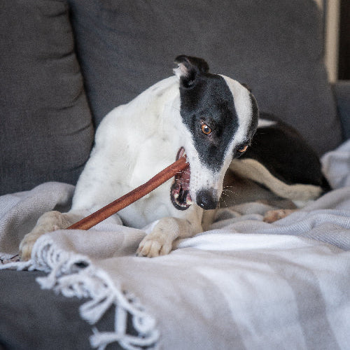 Beef Bully Sticks