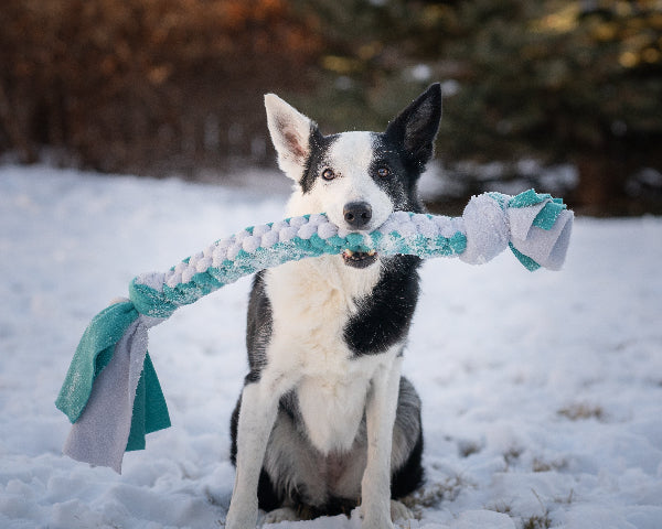Fleece Tug Toys