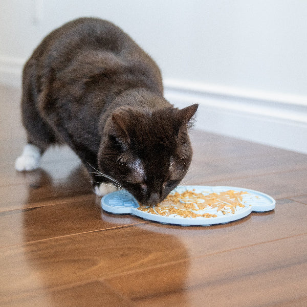 Dexypaws Lick Mat
