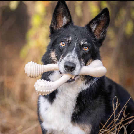 Better Bone - Soft