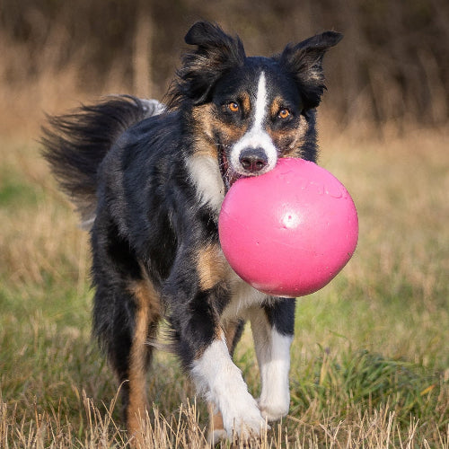 Jolly Ball Bounce N Play
