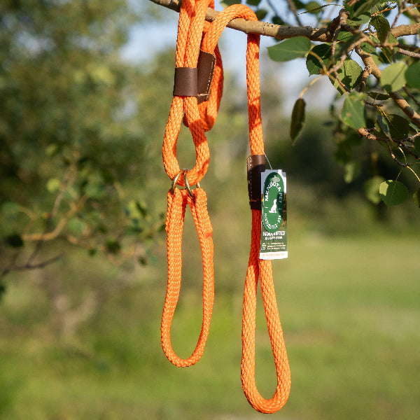 Mendota Dog Walker Leash
