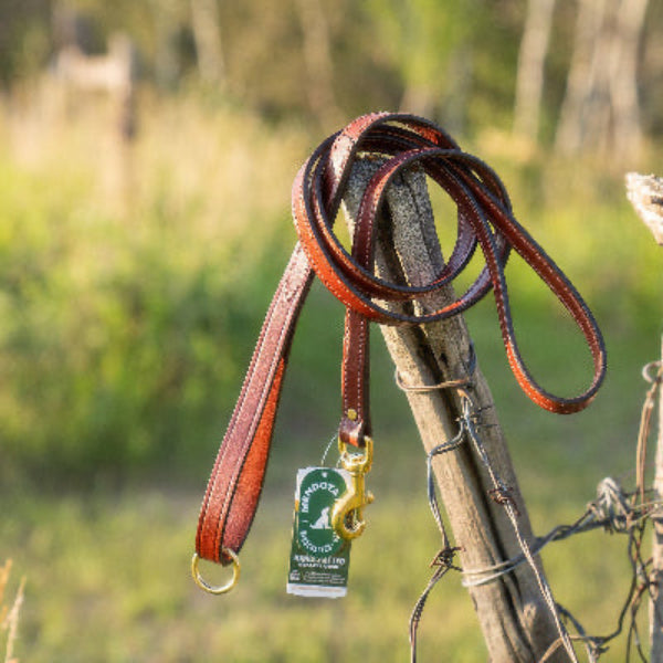 Mendota Leather Leashes 6ft