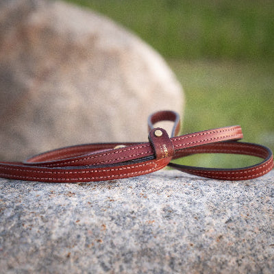 Mendota Leather Leashes 6ft