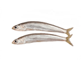 Whole Wild-Caught Lake Smelt
