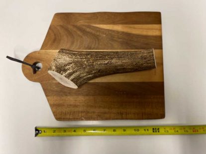 Elk Antlers