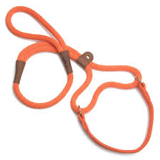 Mendota Dog Walker Leash