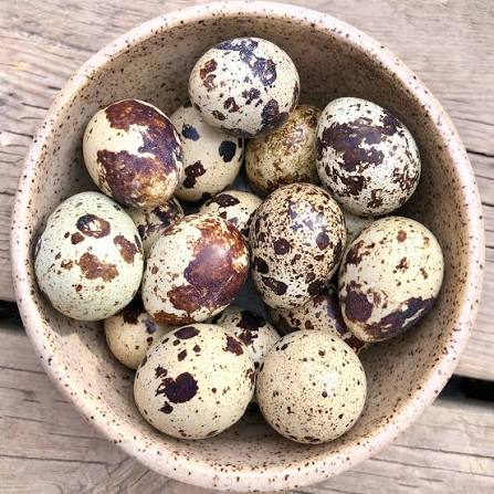 Frozen Quail Eggs 24pk