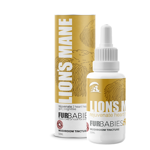 Furbabies Mushroom Tinctures